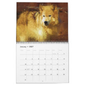 Rückkehr des grauen Wolfs Kalender (Jan 2027)