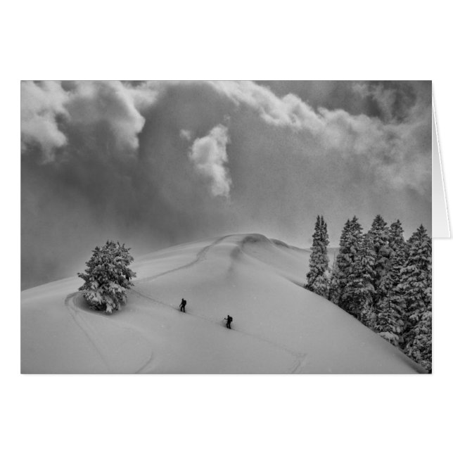Rückland-Skitonnen in frischem Pulver (Vorderseite (Horizontal))
