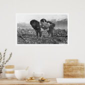 Rückpackdog Seward, Alaska 1911 Poster (Küche)