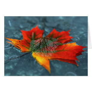 Rückreflektionskarte