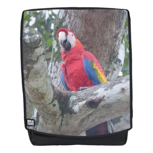 Rucksack "Costa Rica Parrot Jungle Bird Adult" (Vorderseite)