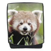 Rucksack. Foto roter Panda. Rucksack (Vorderseite)