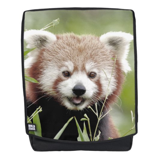 Rucksack. Foto roter Panda. Rucksack (Vorderseite)
