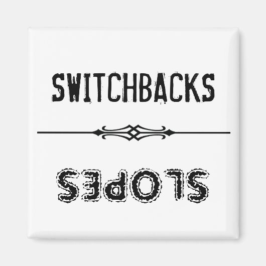 Rückschalteinrichtungen Magnet (Vorne)