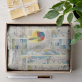 Rückseite-American Airlines-Systemskarte Seidenpapier (Geschenk)