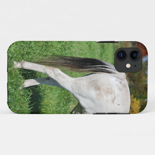 Rückseite Case-Mate iPhone Hülle (Rückseite (Horizontal))