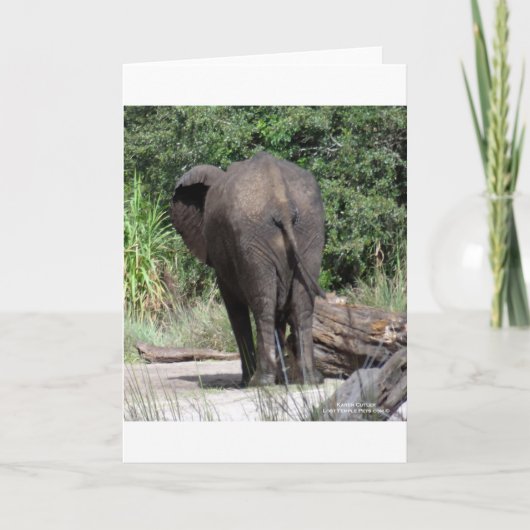 Rückseite des Elefanten Feiertagskarte (Vorderseite)