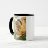 Rückseite des Hunderollens an Tasse (Vorderseite Links)