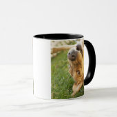 Rückseite des Hunderollens an Tasse (VorderseiteRechts)