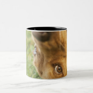 Rückseite des Hunderollens an Zweifarbige Tasse