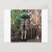 Rückseite von Okapi Postkarte (Vorderseite)