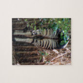 Rückseite von Okapi Puzzle (Horizontal)