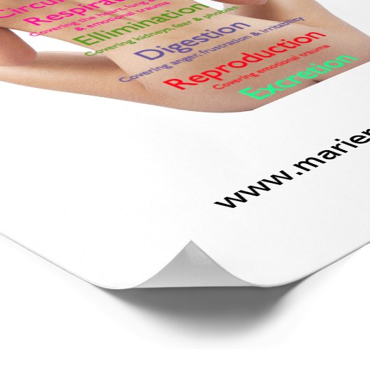 Rückseitendiagramm Poster (Ecke)