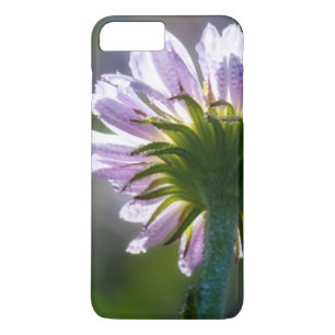 Rückseitig beleuchtete lila Wildblume mit Tautropf Case-Mate iPhone Hülle
