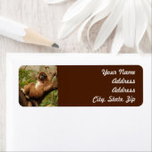 Rücksendeadresse (Insitu)