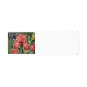 Rücksendeadresse (Vorne)