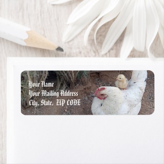 Rücksendeadresse (Insitu)