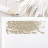 Rücksendeadresse (Insitu)