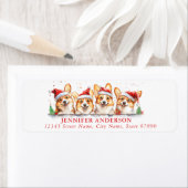 Rücksendeadresse (Insitu)