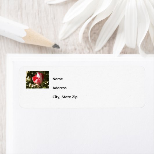 Rücksendeadresse (Insitu)