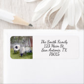 Rücksendeadresse (Insitu)