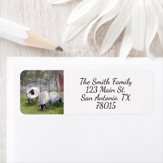 Rücksendeadresse (Insitu)