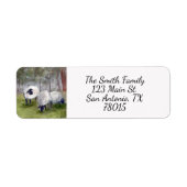 Rücksendeadresse (Vorne)