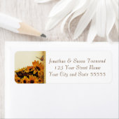 Rücksendeadresse (Insitu)