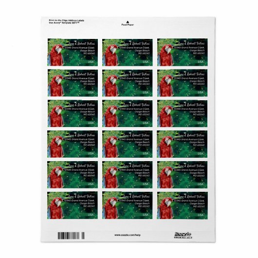 Rücksendeadresse Adressaufkleber (Vorne)