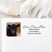 Rücksendeadresse Black Angus Calf (Insitu)