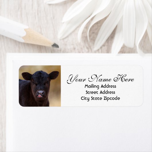 Rücksendeadresse Black Angus Calf (Insitu)