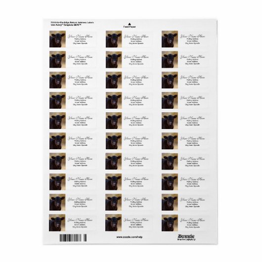 Rücksendeadresse Black Angus Calf (Vorne)