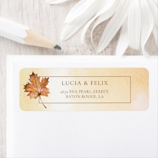 Rücksendeadresse der Ahornschicht (Insitu)