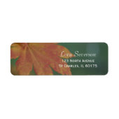 Rücksendeadresse der Herbstfarben (Vorne)