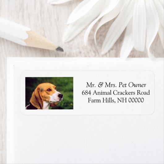 Rücksendeadresse der niedlichen Beagle Mailing Lab (Insitu)