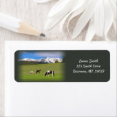 Rücksendeadresse der Pferde (Insitu)