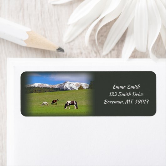 Rücksendeadresse der Pferde (Insitu)