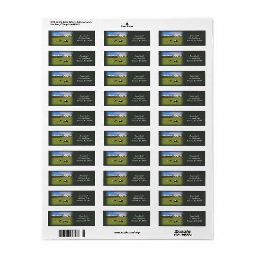 Rücksendeadresse der Pferde (Vorne)