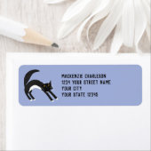 Rücksendeadresse der Schwarzen und Weißen Katze (Insitu)