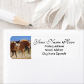 Rücksendeadresse der Wilden Pferde (Insitu)