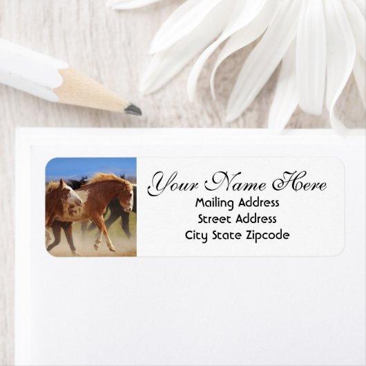 Rücksendeadresse der Wilden Pferde (Insitu)