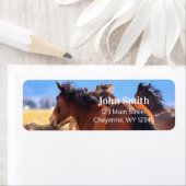 Rücksendeadresse der Wilden Pferde (Insitu)