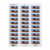 Rücksendeadresse der Wilden Pferde (Vorne)