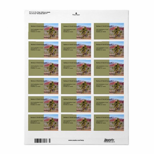 Rücksendeadresse der Wüstenlandschaft Adressaufkleber (Vorne)