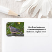 Rücksendeadresse des Fotos (Insitu)