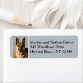 Rücksendeadresse des Hundes 2 (Insitu)