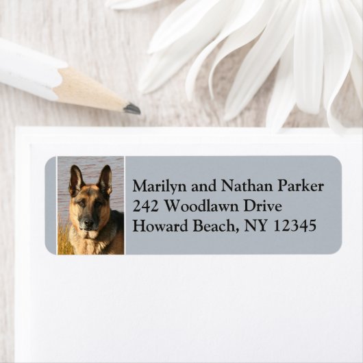 Rücksendeadresse des Hundes 2 (Insitu)