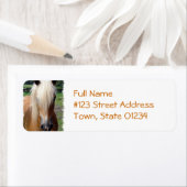 Rücksendeadresse des Palomino Pferdes (Insitu)