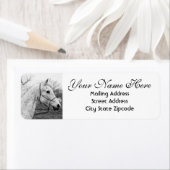 Rücksendeadresse des Schwarzen und Weißen Horns (Insitu)