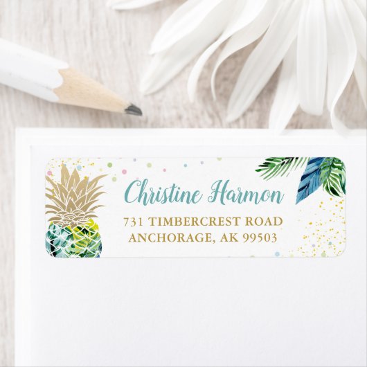 Rücksendeadresse des tropischen Ananas (Insitu)